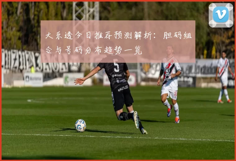 大乐透今日推荐预测解析：胆码组合与号码分布趋势一览