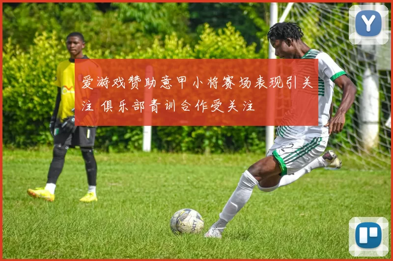 爱游戏赞助意甲小将赛场表现引关注 俱乐部青训合作受关注